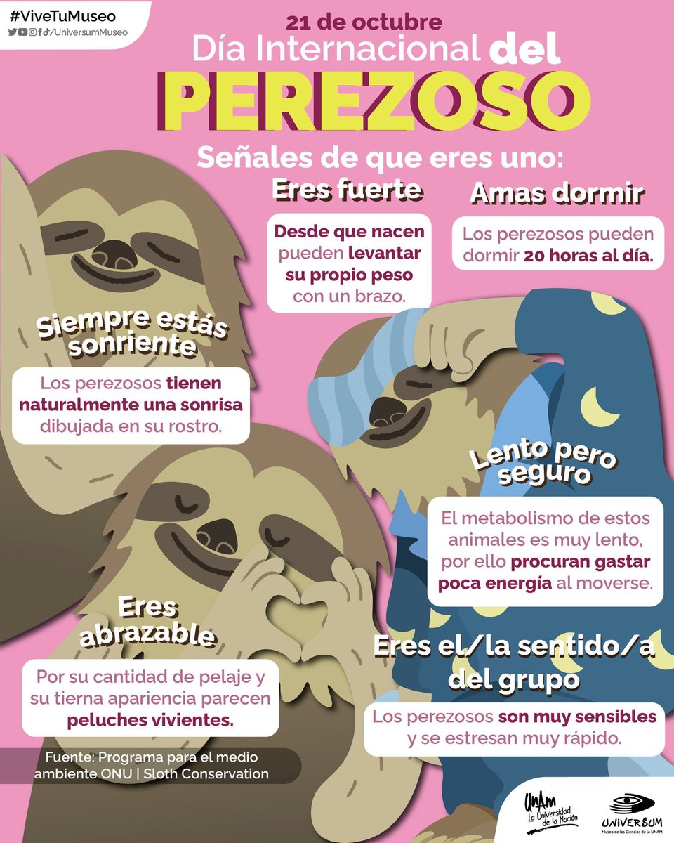 #UnDíaComoHoy es Día Internacional de los Perezosos 📷📷 Y tú, ¿eres uno? 📷📷

#ViVeTuMuseo
