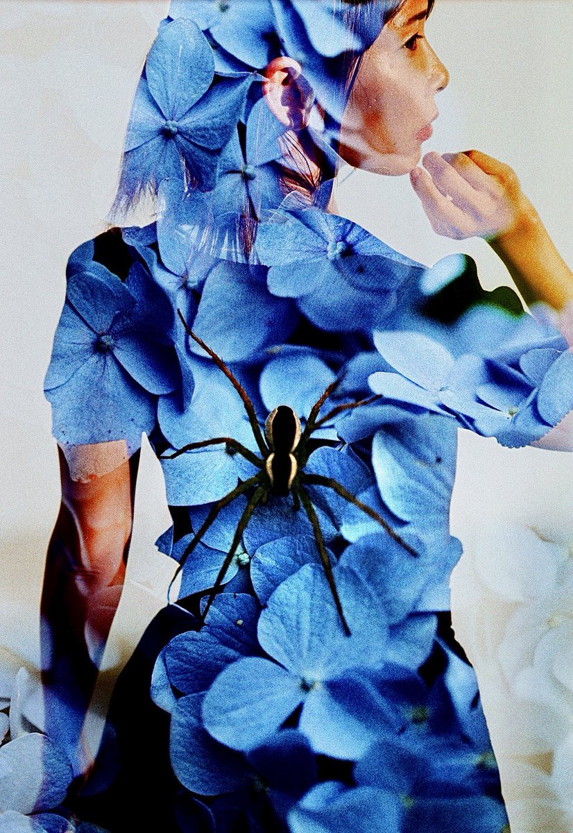 "捕食 -predation-”
セルフフィルムスワップ、クロス現像（現像...カメラはスズキ、スキャン...カメラのスズヤ）
モデル: 彩川菜々さん、蜘蛛
Canon EOS7s/Kodak E100VS (クロス現像)