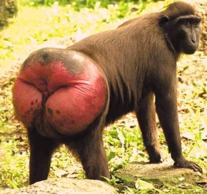 صدیق جان کی موجودہ حالت 🤣🤣🤣🤣