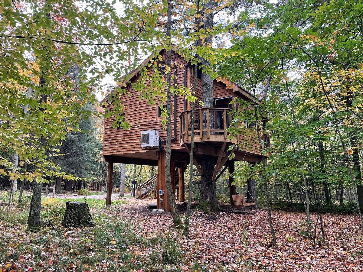 eetreehouses's tweet image. Come and be tucked away for a bit at 
Ella’s Enchanted Treehouses!
eetreehouses.com 
You’ll be glad you did! 
Book Now! #treehouse #treetop #washingtonpa #washingtondc #Pennsylvania #WestVirginia #Ohio #Virginia #Maryland #treesplease #Memories
