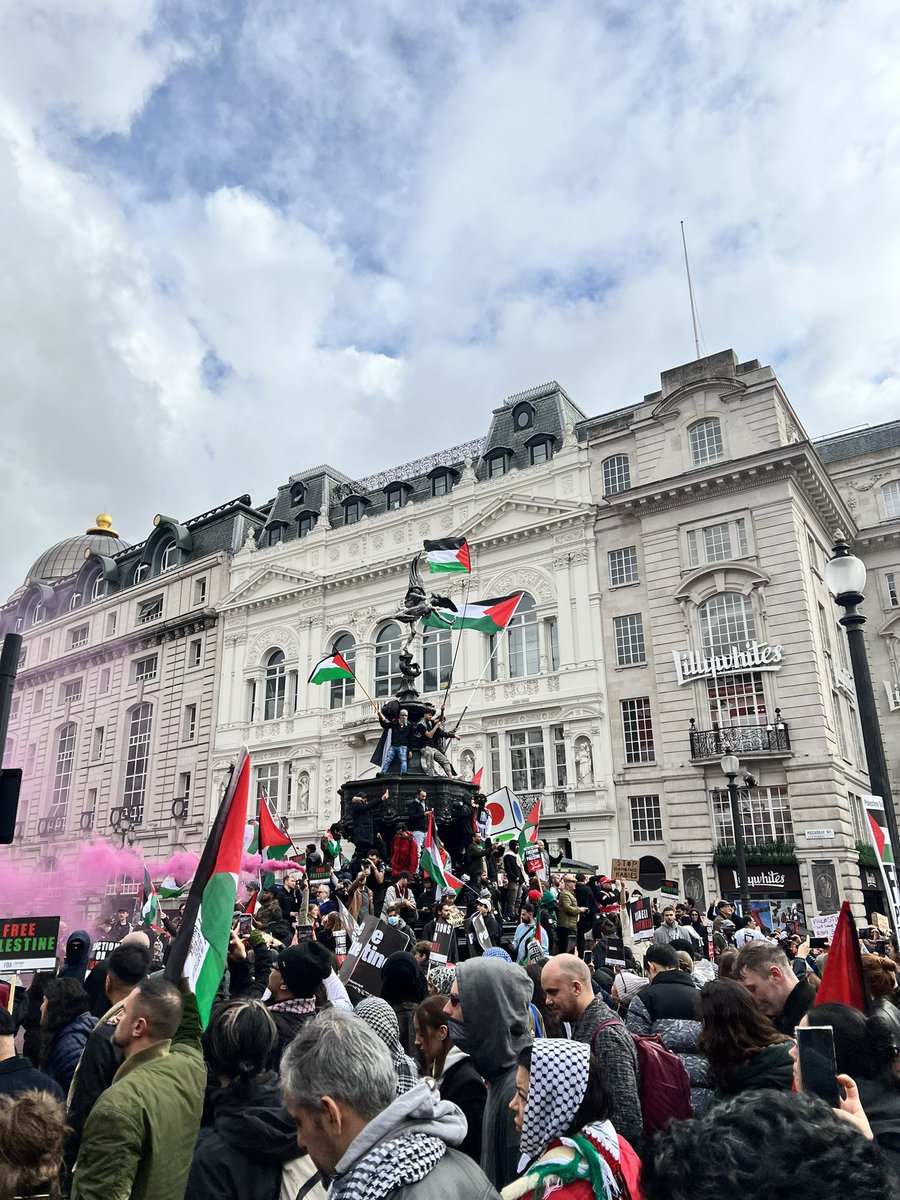 shaskica1's tweet photo. March for Palestine 🇵🇸 https://t.co/7wVRLgQZoI