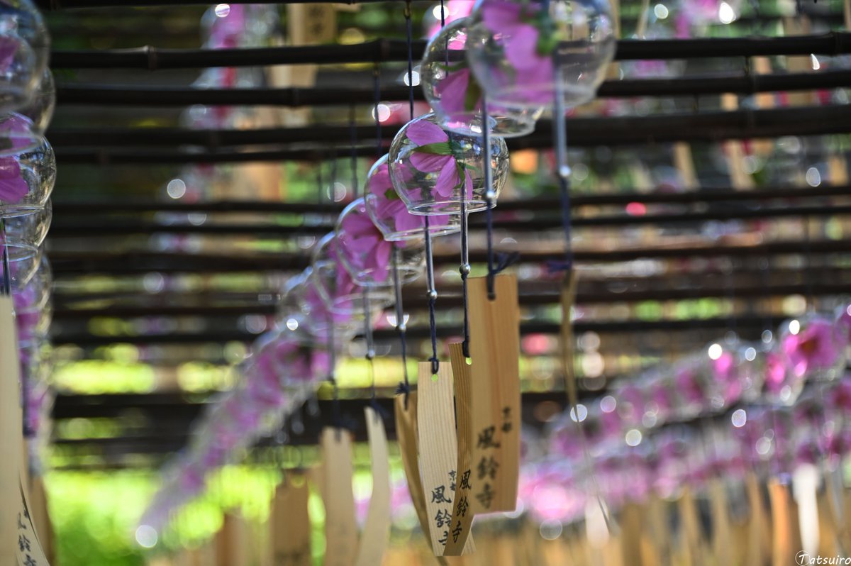 tatsuiro19's tweet photo. #風鈴 #windchime https://t.co/JkWYX59BAf