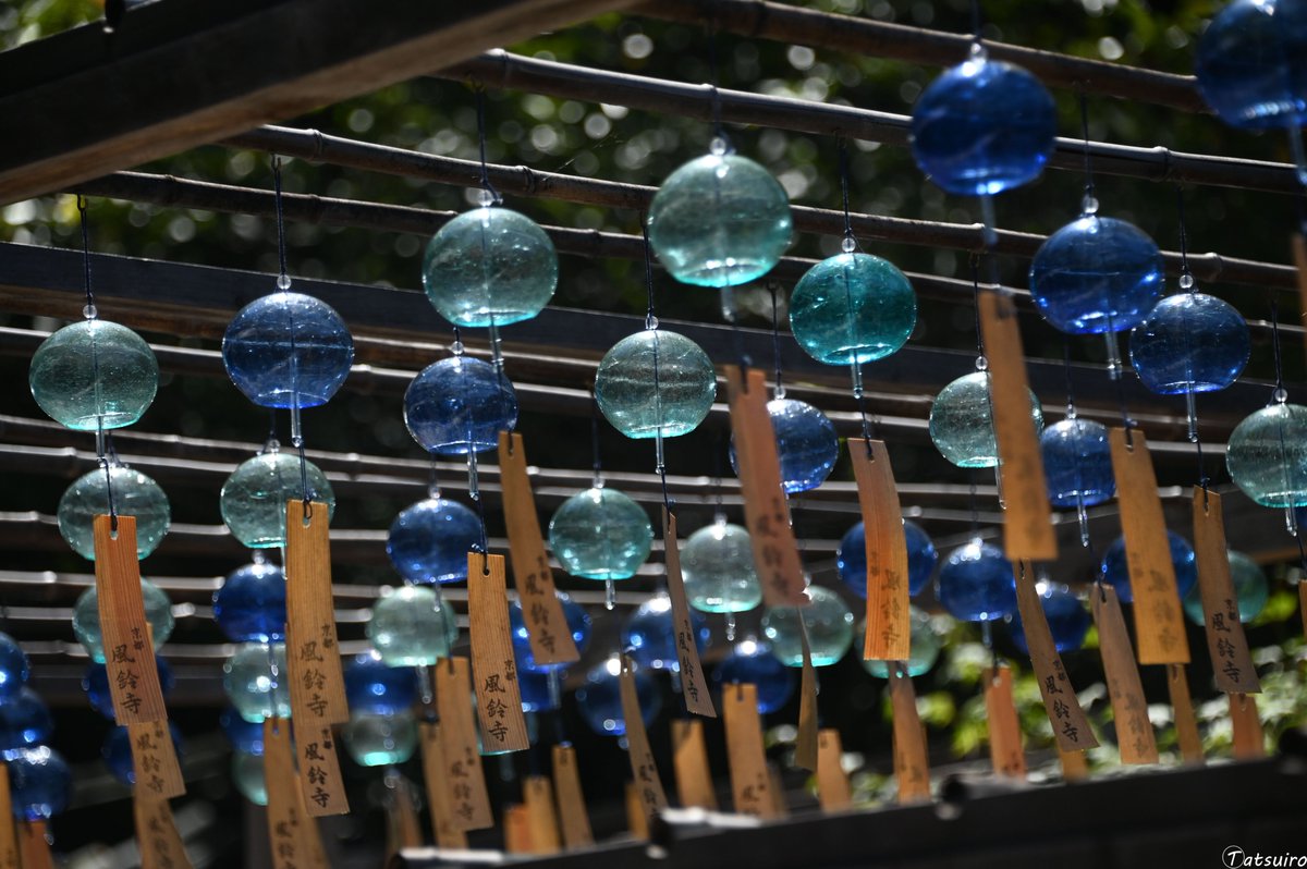 tatsuiro19's tweet photo. #風鈴 #windchime https://t.co/JkWYX59BAf