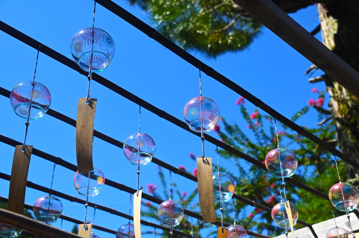 tatsuiro19's tweet photo. #風鈴 #windchime https://t.co/JkWYX59BAf