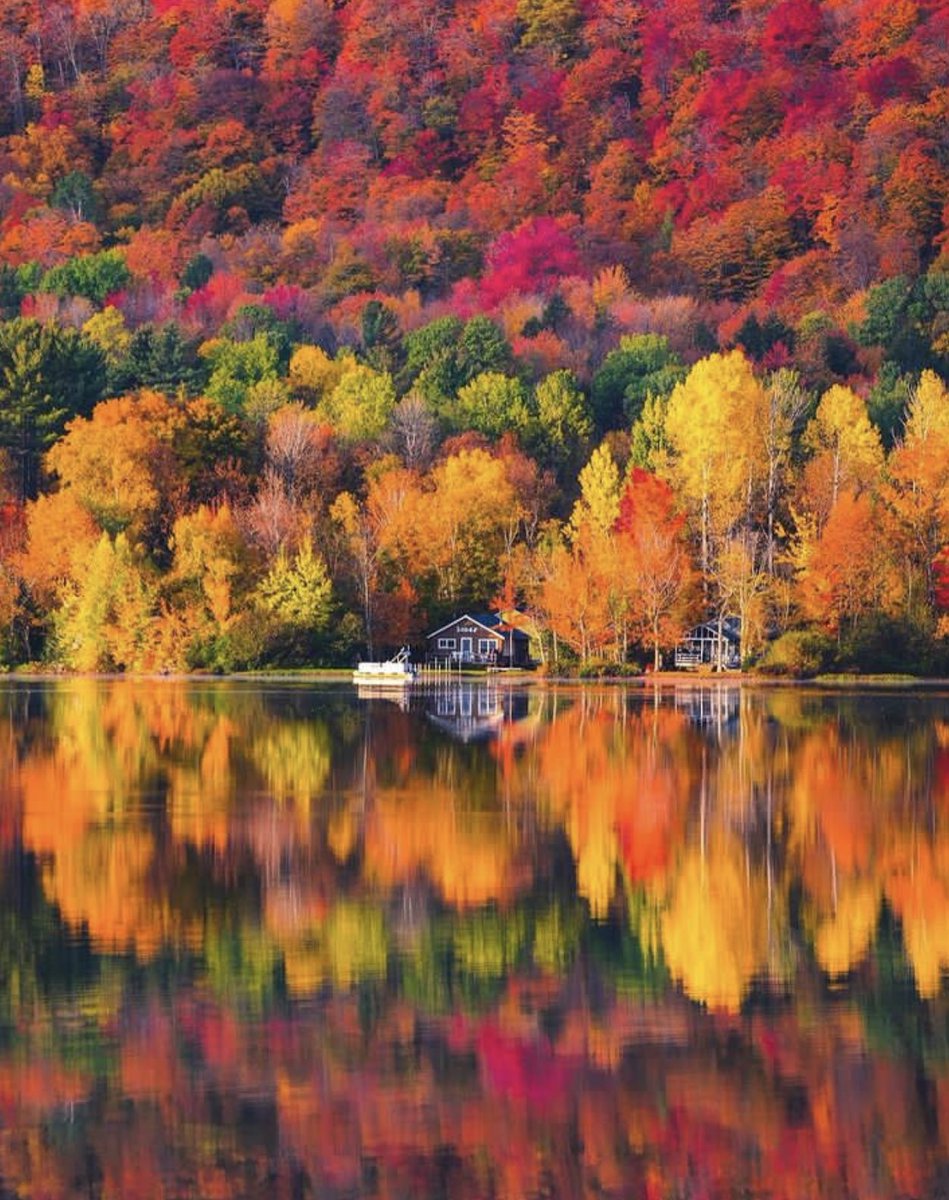 ValentyneDreams's tweet photo. The beauty of Autumn in Vermont. https://t.co/RRoZHm4gjT