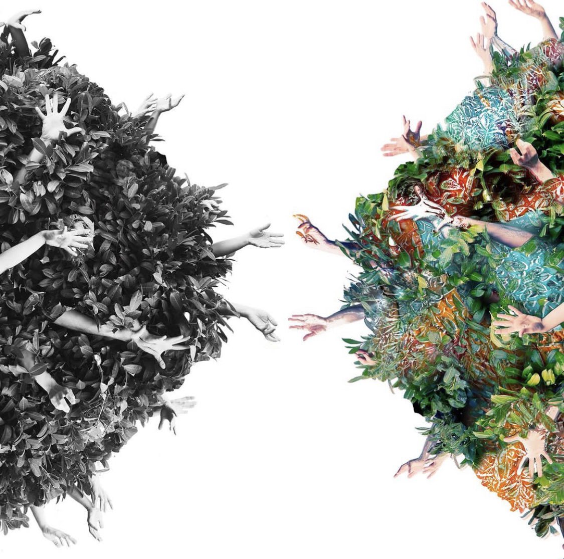 LOW TIDE is here!  Go listen everywhere 🤙🏼🫶🏻🙏🏼