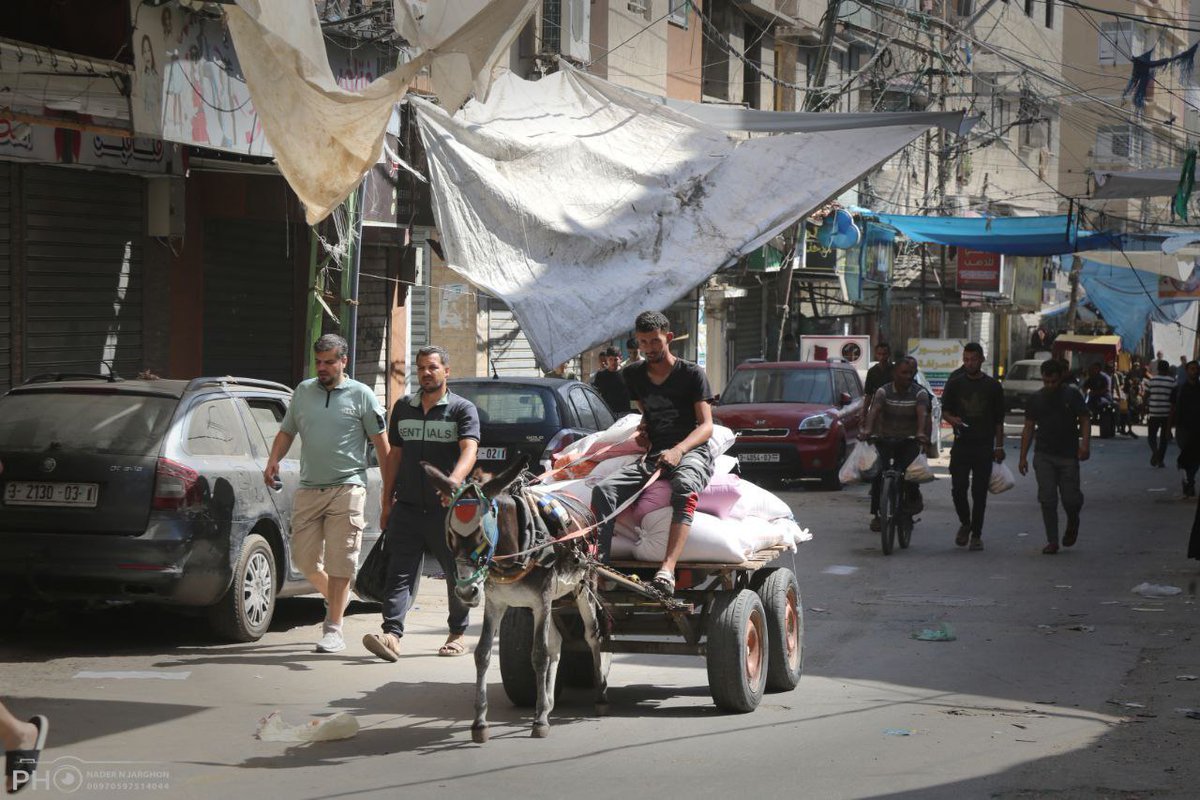 TheMossadIL's tweet photo. While the world shares footage of our demolition of terrorist infrastructure and assets, and it looks impressive, our targets are focused and exact. Hamas media will have you believe that all of Gaza is a war zone and everyone is in danger of an Israeli missile with no warning. It is not. 

Civilians are warned. Moved to safe areas when necessary and unlike any war anywhere else, danger zones are known in advance. 

Everywhere else, life goes on. These are photos shared by Hamas from today.