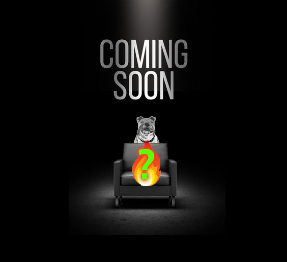 deleteacc12341's tweet photo. BIG NEWS COMING SOON 🔥🐕

#dogsrock will soon announce the next exchange listing. We will buy back and burn 100 BNB at any time (Can be before listing or after listing) 🚀

#dogsrock #bitgate #kucoin #gate #binance #bybit 
#meme https://t.co/3IWTZoMscT