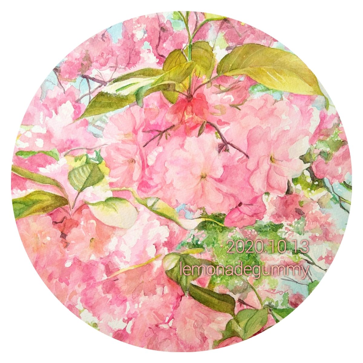 no humans flower pink flower artist name leaf traditional media painting (medium)  illustration images