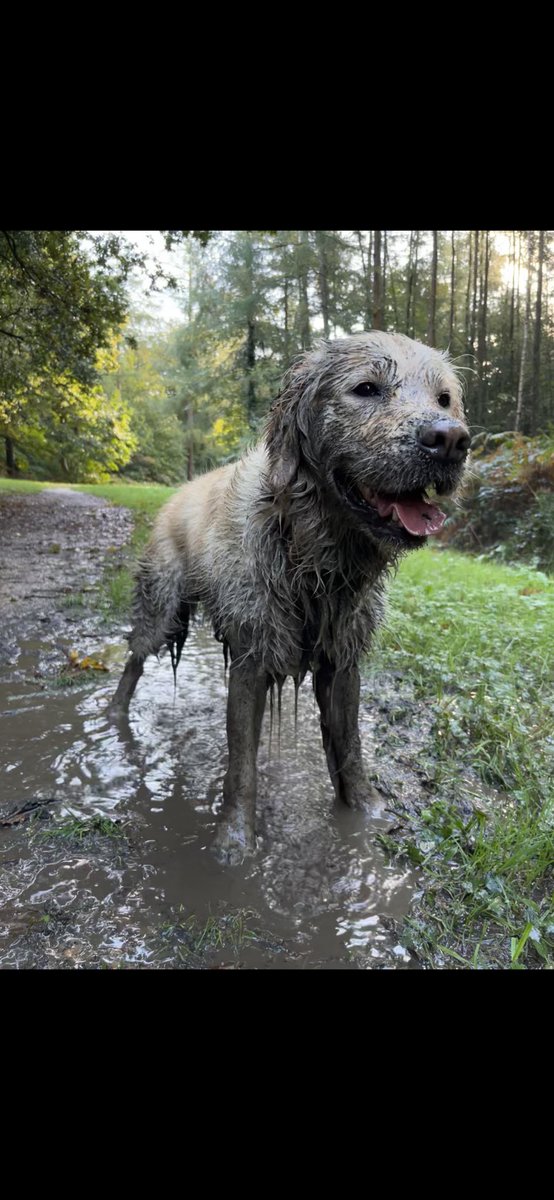May your Saturday be graced with the joy of muddy puddles 🤞🏼