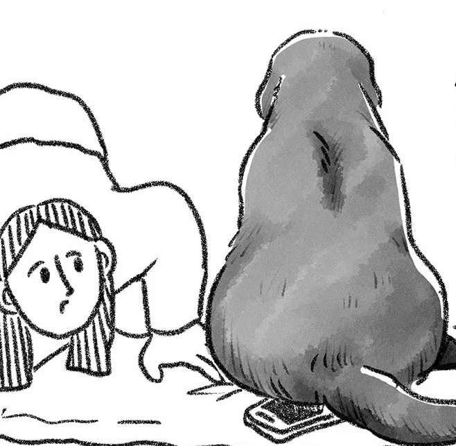 >RT 老犬介護思い出日記、更新していただいております〜🌱でっか犬のこのどっしりとした背中、いいよね🐶 