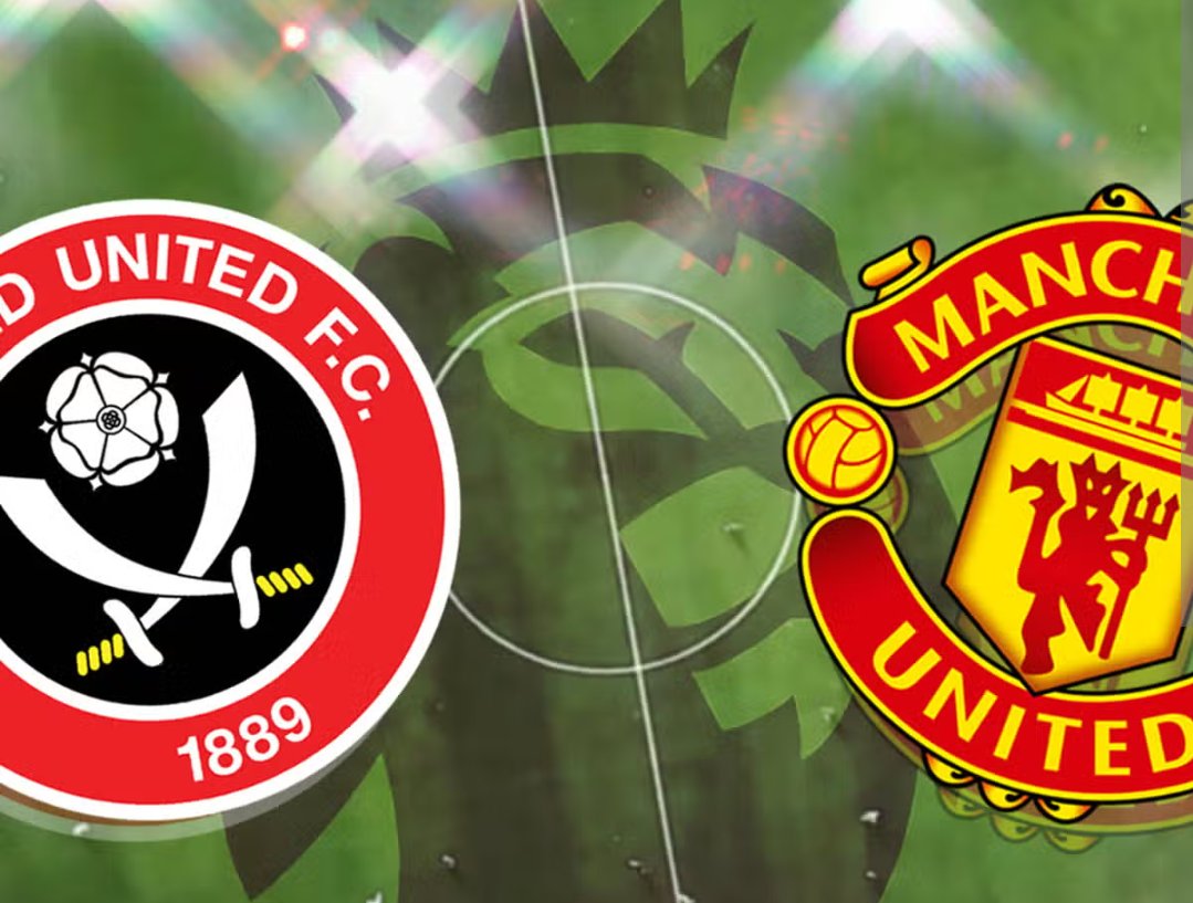 Licha🌠 tweet media