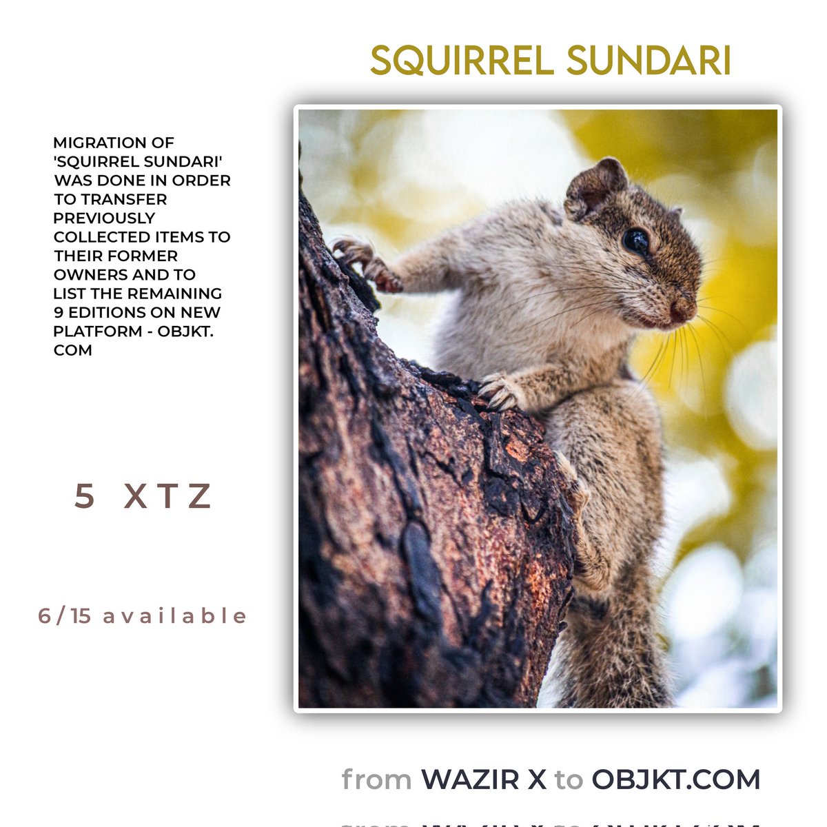 'Squirrel Sundari' from #wazirxnft to #xtz

Former owners kindly share your tez wallet address in comments for transfer

@TheFadinSoul @mpix47 @EnvisionArtnft @dsk_arts @Shabarigirisan4 @TheNFTwazir @AniGraphicsD and (unknown)