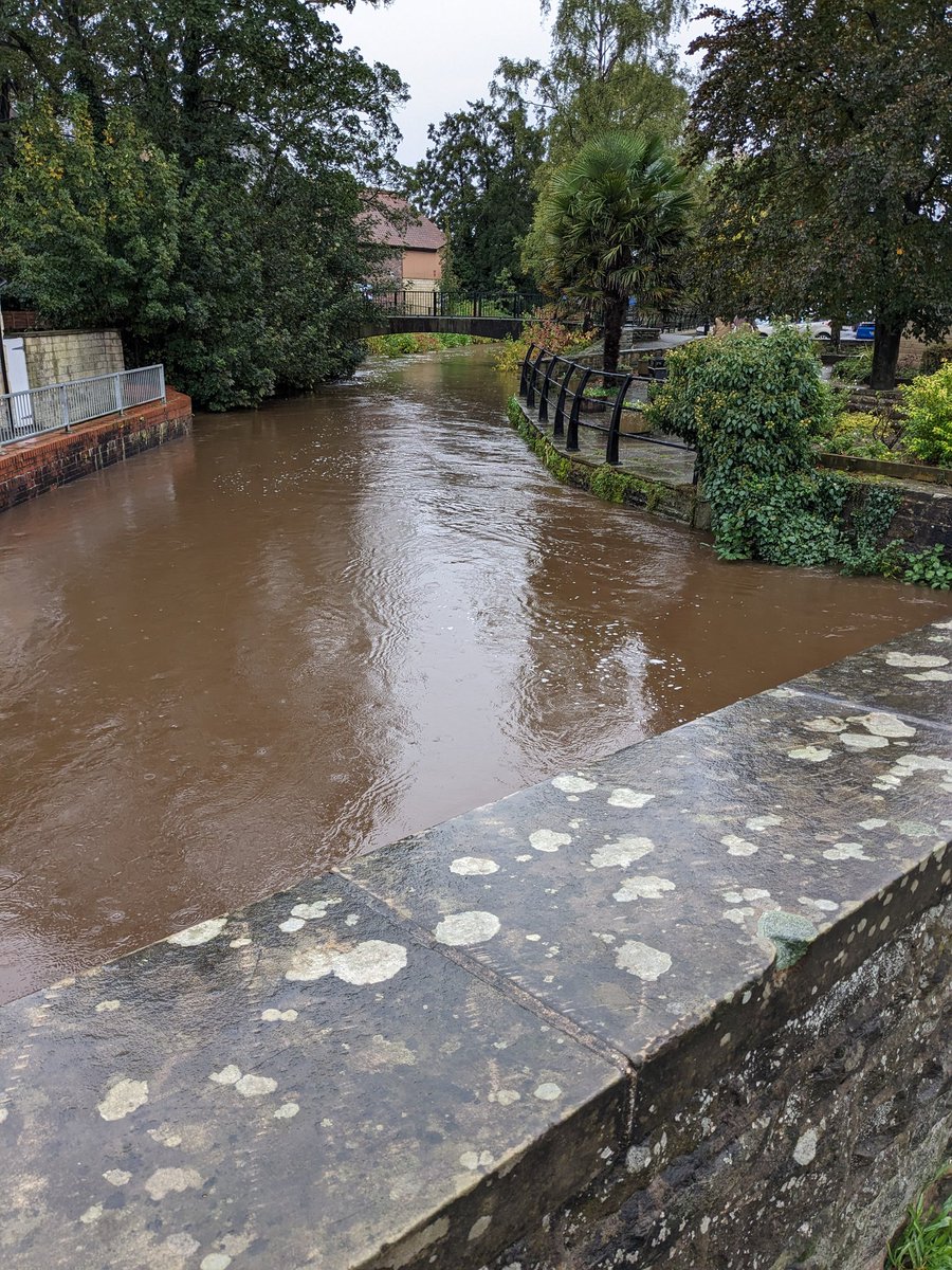 Pickering beck has burst it's banks in various places. The advice is simple:

- Please DO NOT walk or drive through floodwater 
- Contact your local council if you need sandbags 
- Phone North Yorkshire Police if a tree has fallen in the road and is in a dangerous position