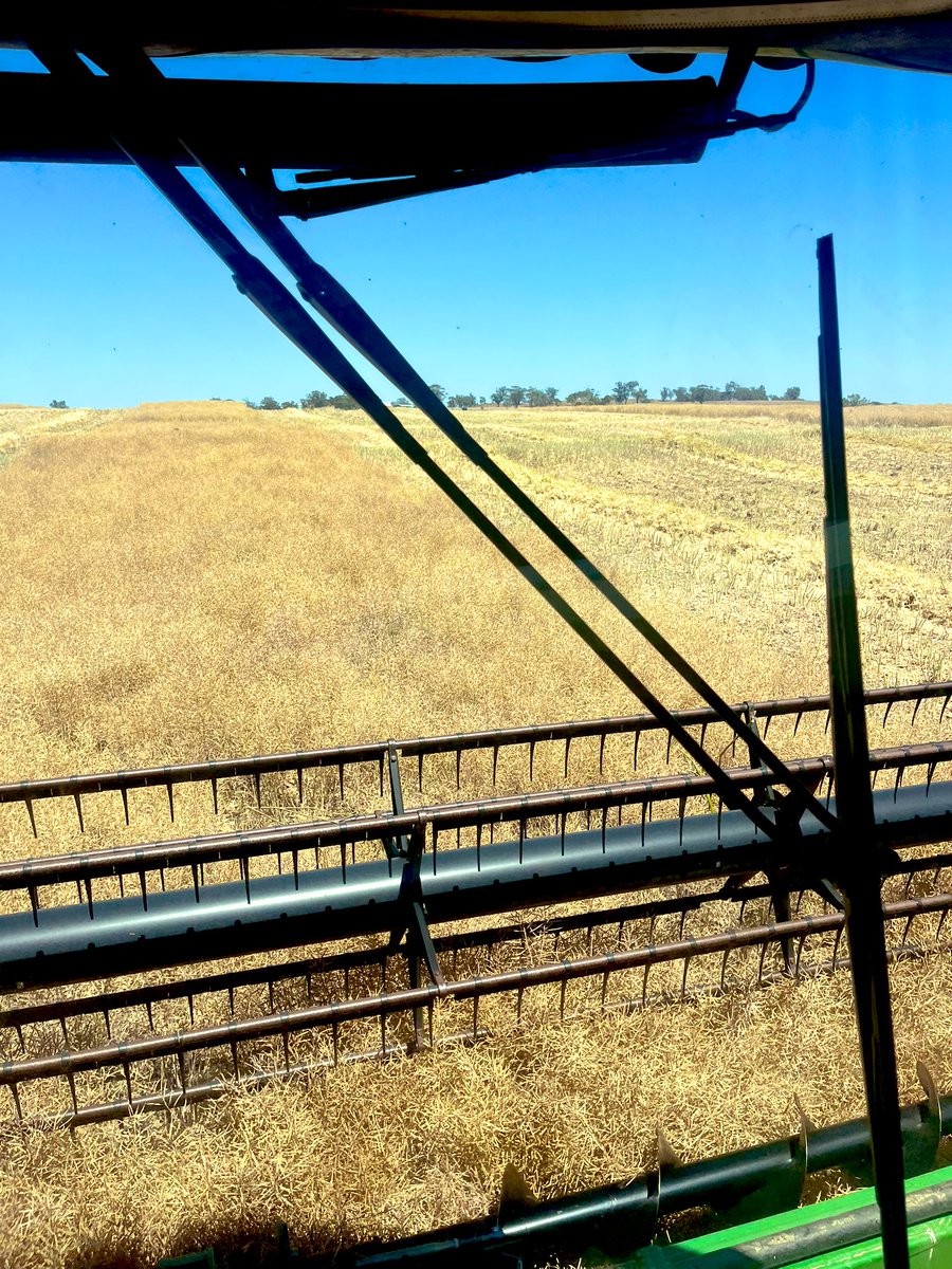 Justin Ramsay tweet media