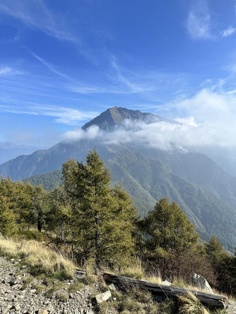 Saliinvetta's tweet image. Il Legnone visto dal Legnoncino 
📷 Che meraviglia 😍

👉 saliinvetta.com

Buon Sabato 🌞

#legnone #montelegnoncino #montelegnone #fotomontagna #trekking