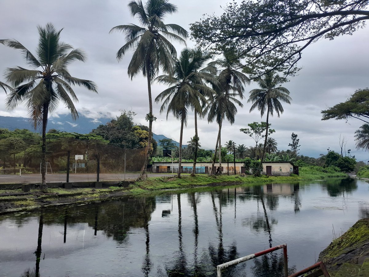 carine_oum's tweet photo. #Limbe
#semebeach
#Cameroon🇨🇲 https://t.co/r2sQqQIQT6