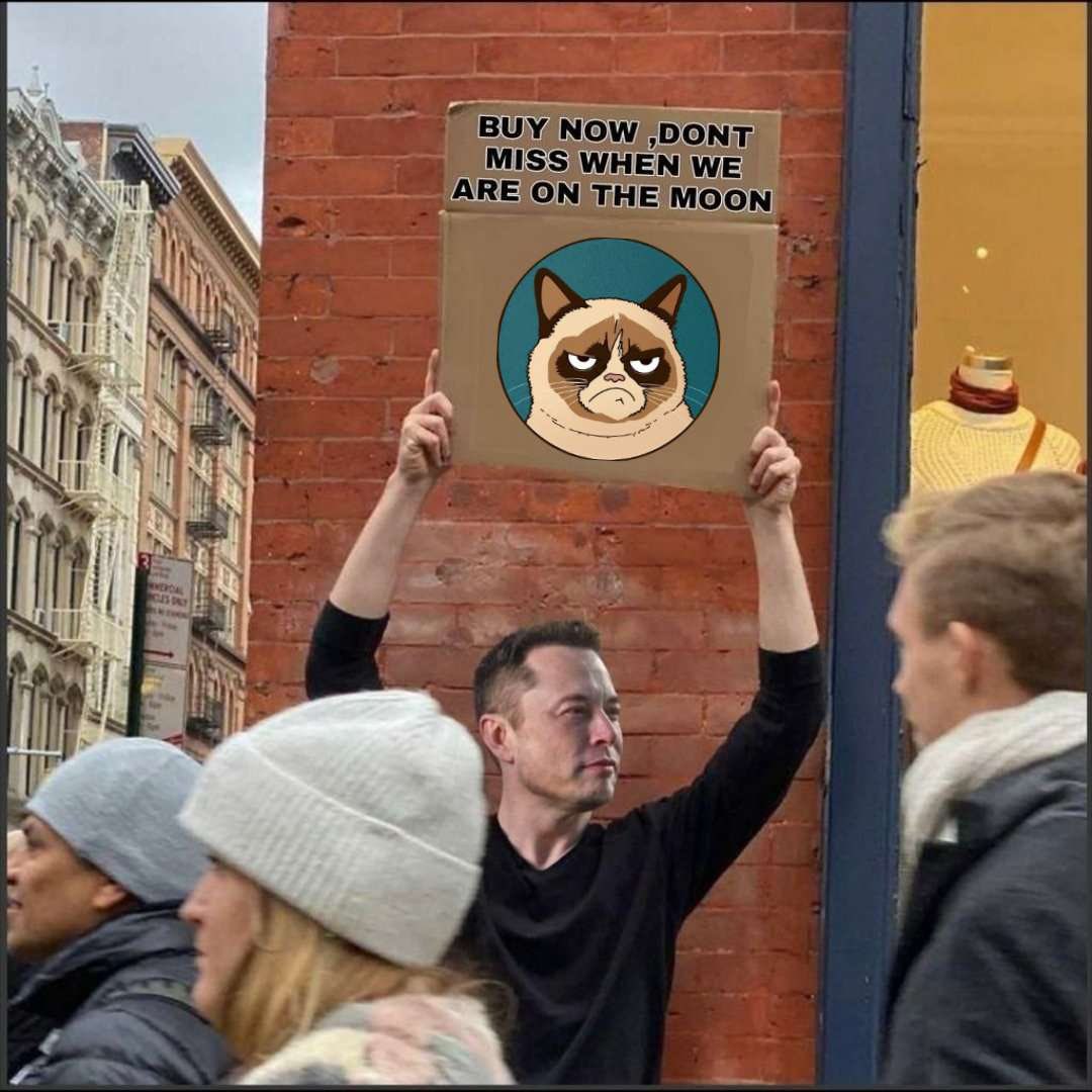 WilfredGrumpy's tweet photo. @MonstersCoins Are you tired of getting screwed by influencers? I know I am
That's why I decided to invest in community driven #memecoins projects with organic growth.
The best example is #GrumpyCatCoin
When you see #Doge 🐳 #shib 🐳 buying GCC, you should pay attention
https://t.co/sRgzxenNSf https://t.co/fIQLdjFRru