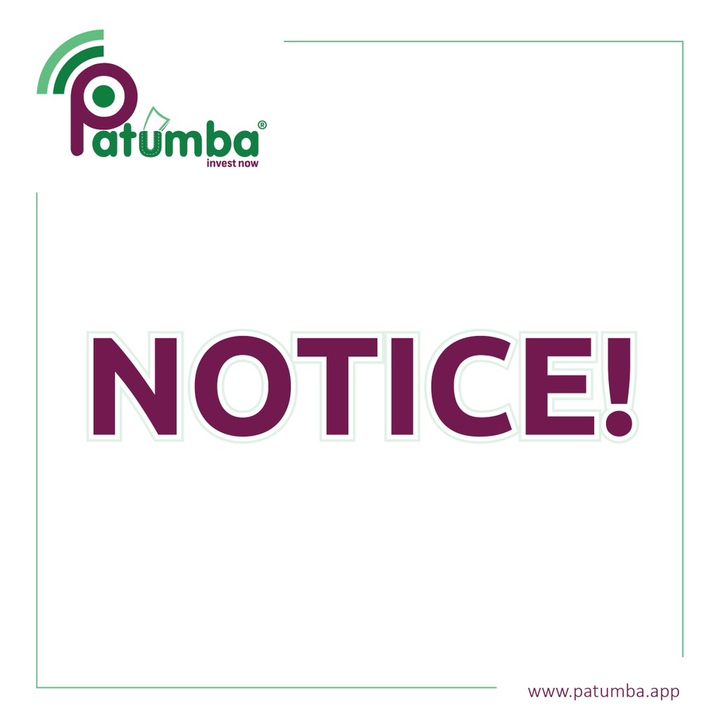 Patumba tweet media