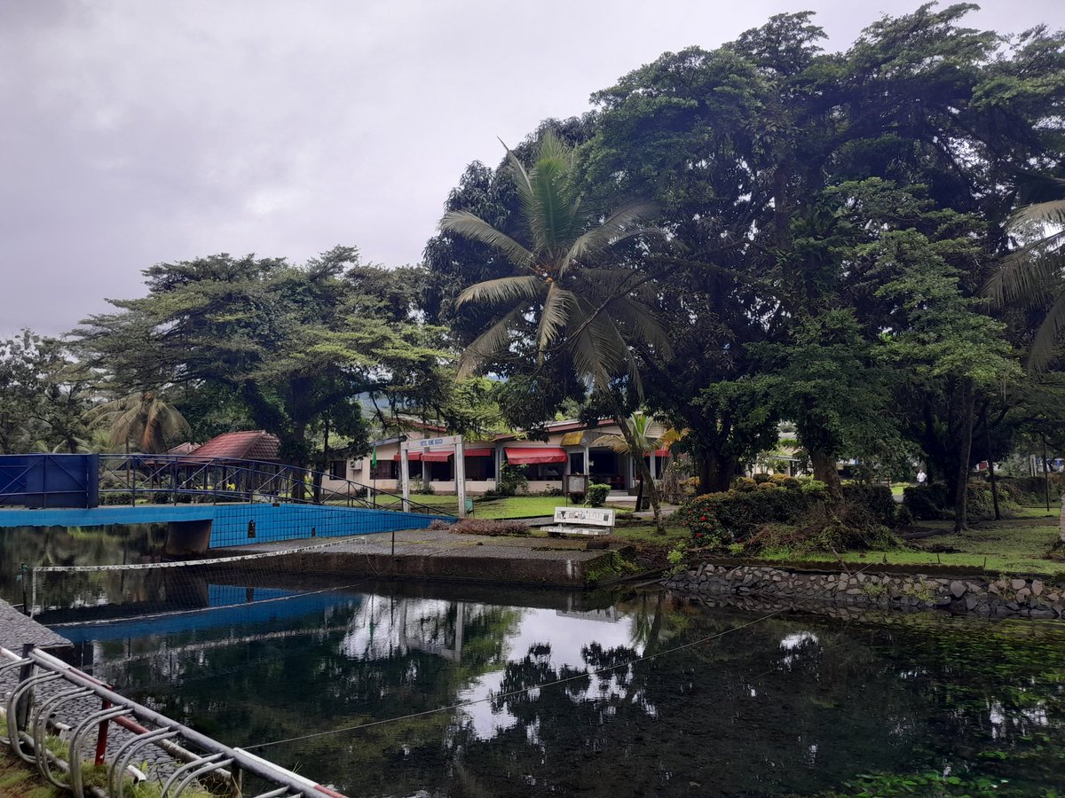 carine_oum's tweet photo. #Limbe
#semebeach
#Cameroon🇨🇲 https://t.co/r2sQqQIQT6