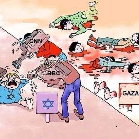 wafa'a Ali tweet media