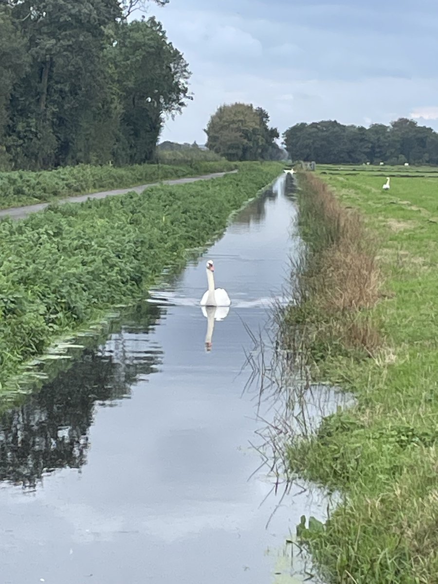 Richard Thomas Hudson tweet media