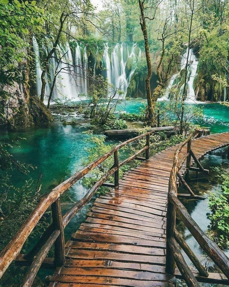 Plitvice Lakes National Park, Croatia 🌿💙    📷 wonguy974
#plitvickajezera #croatia #plitvicelakes #plitvice #plitvicenationalpark #plitvicelakesnationalpark #nature #croatiafulloflife #hrvatska #travel #nationalpark #croatiatravel #visitcroatia #photography #naturephotography