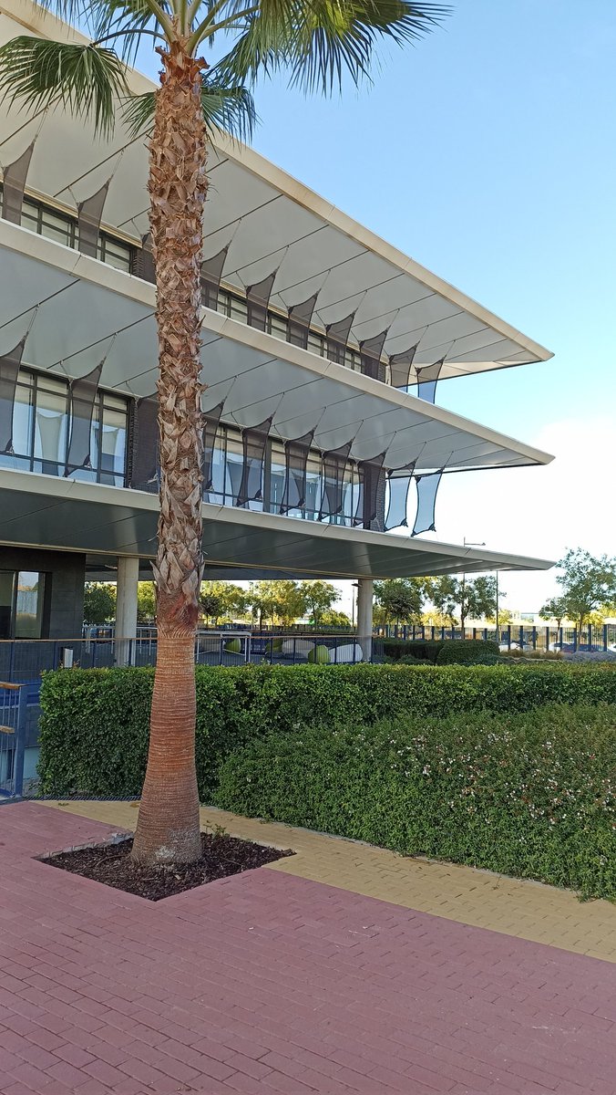 NachoSVQ's tweet photo. Acompañando a @Openhousevilla en la visita al Campus de la Universidad Loyola @LoyolaAnd , de Luis Vidal arquitectos. #OpenHouseSevilla se celebra este fin de semana, se puede consultar aquí toda la programación 👇🏼 https://t.co/lkLQBxLXc3 #SoyVoluntario https://t.co/OaZufrsmUh