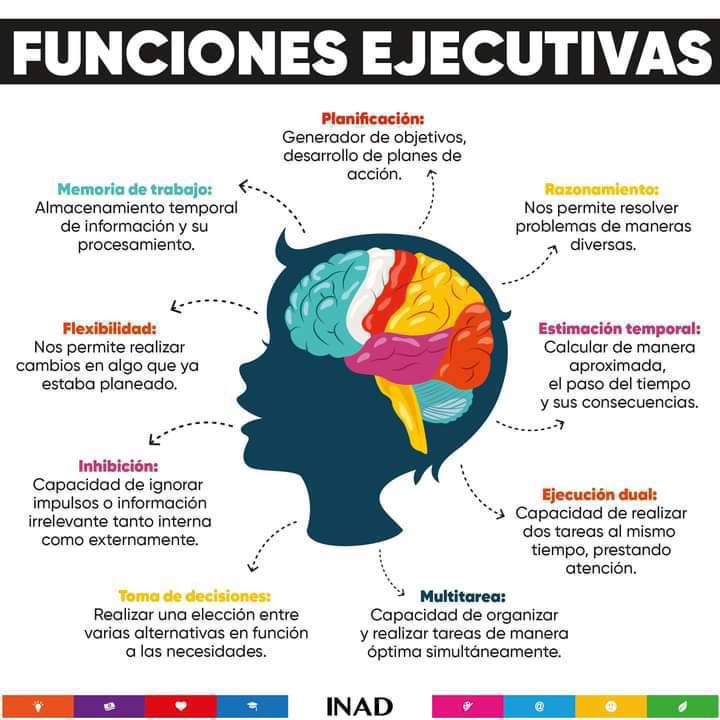 Las funciones ejecutivas (FE) habilidades cognitivas autodirigidas internamente al servicio de una meta

Influyen en nuestras conductas mediante la autorregulación, en la actividad cognitiva y en la emocional

Localizada en la región del cerebro localiza en el lóbulo prefrontal