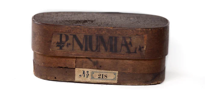 ムミヤ(mumia) ミイラから採取された黒い樹脂状の物質は、湿布剤や解毒剤としての薬効があると信じられた。近世の欧州ではミイラの需要が高まり、エジプトでは数多くのミイラが盗掘されて損壊させられたほか、砂漠での遭難者や墓地から盗掘した遺体に香料や没薬を詰めた偽ミイラが流通したという。