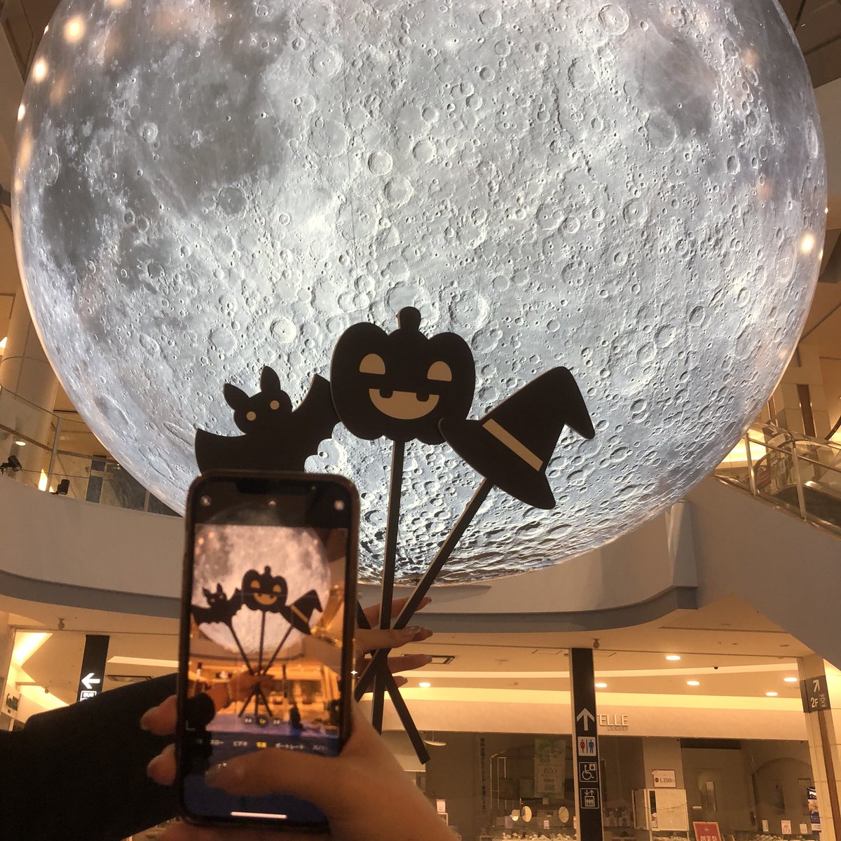 FULL MOON PROJECT🌕 (@fullmoon_info) / Posts / X