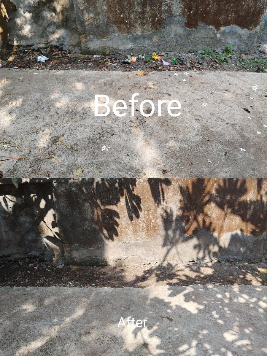 chopanchpipla's tweet photo. #SwachhataHiSeva 
Cleanliness drive by Health and wellness center staff at                        HWC- Panchpipla
@CollectorRjt 
@DDORAJKOT1 
@JetpurTho 
@RajkotDieco 
@SbccHealth 
@RajkotInfo https://t.co/y1txz75ozI