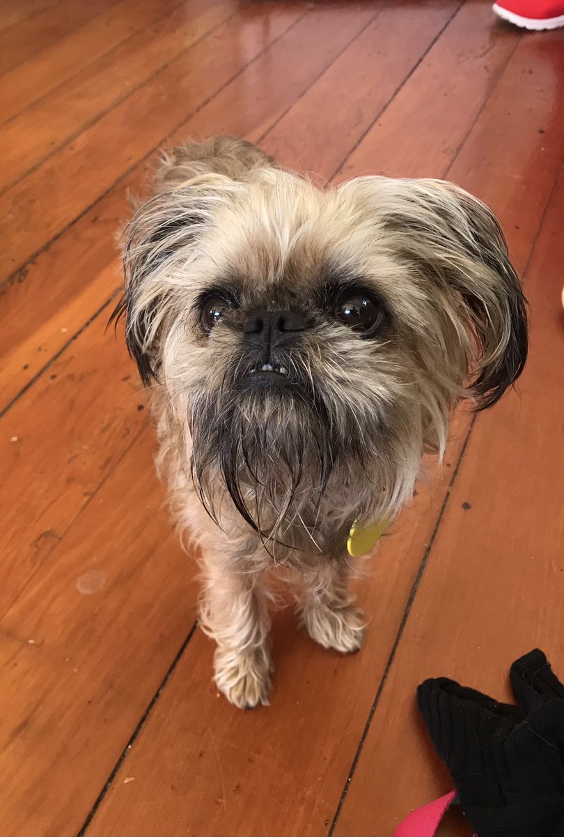 Becs 🍉 tweet media