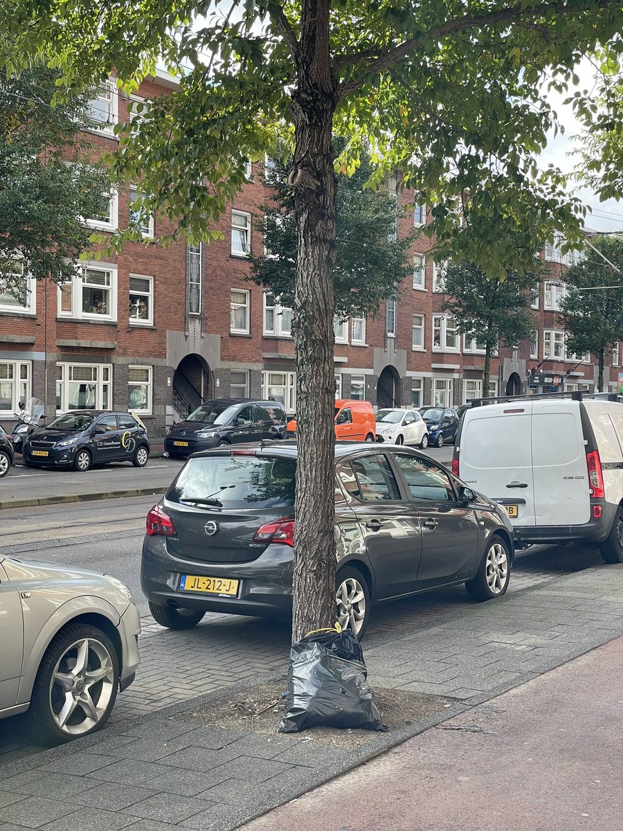 MargotDeBoks's tweet photo. In de Goeverneurlaan ligt veel vuilnis, gisteren vergeten @GemeenteDenHaag ??? #isgemeld https://t.co/ytEIpK35kA