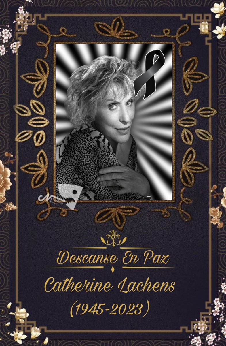 Catherine Lachens (1945-2023)

Falleció la actriz francesa Catherine Lachens a los 78 años de edad 

Descanse en Paz Catherine Lachens (27/09/23) #CatherineLachens #Actriz #noticias #nathzzi #RIP #QEPD #DEP #news #Francia #CineFrances #Cine #cinegiambruno
