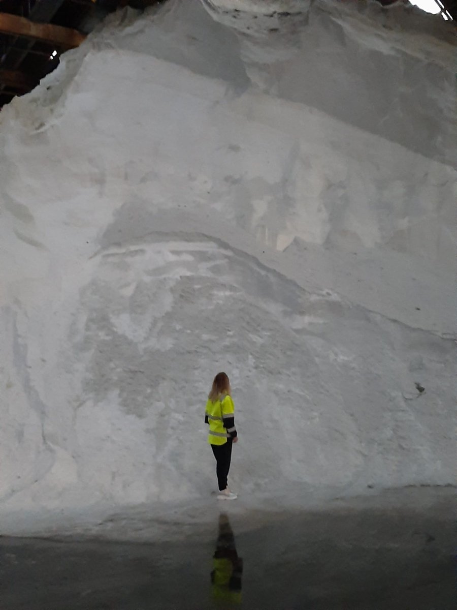 Vanmorgen was, aan het begin van het strooiseizoen, de jaarlijksevlootschouw. De wagens zijn getest en de rondes worden gereden. Ieder jaar wordt met veel werk, aandacht en zout Utrecht weer veilig gemaakt voor de wintermaanden.