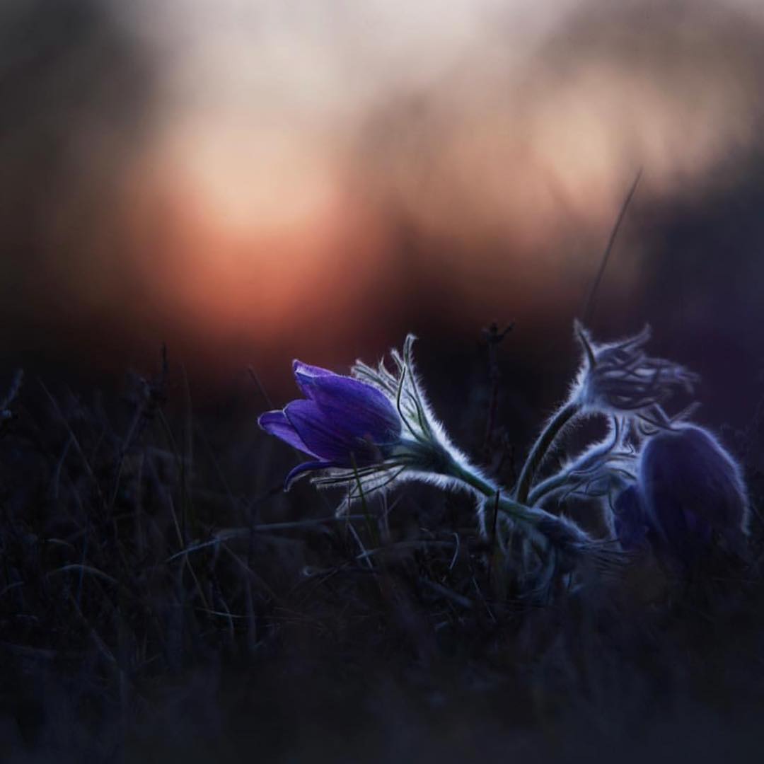 Stephanie (@stephan01wqqych) on Twitter photo 