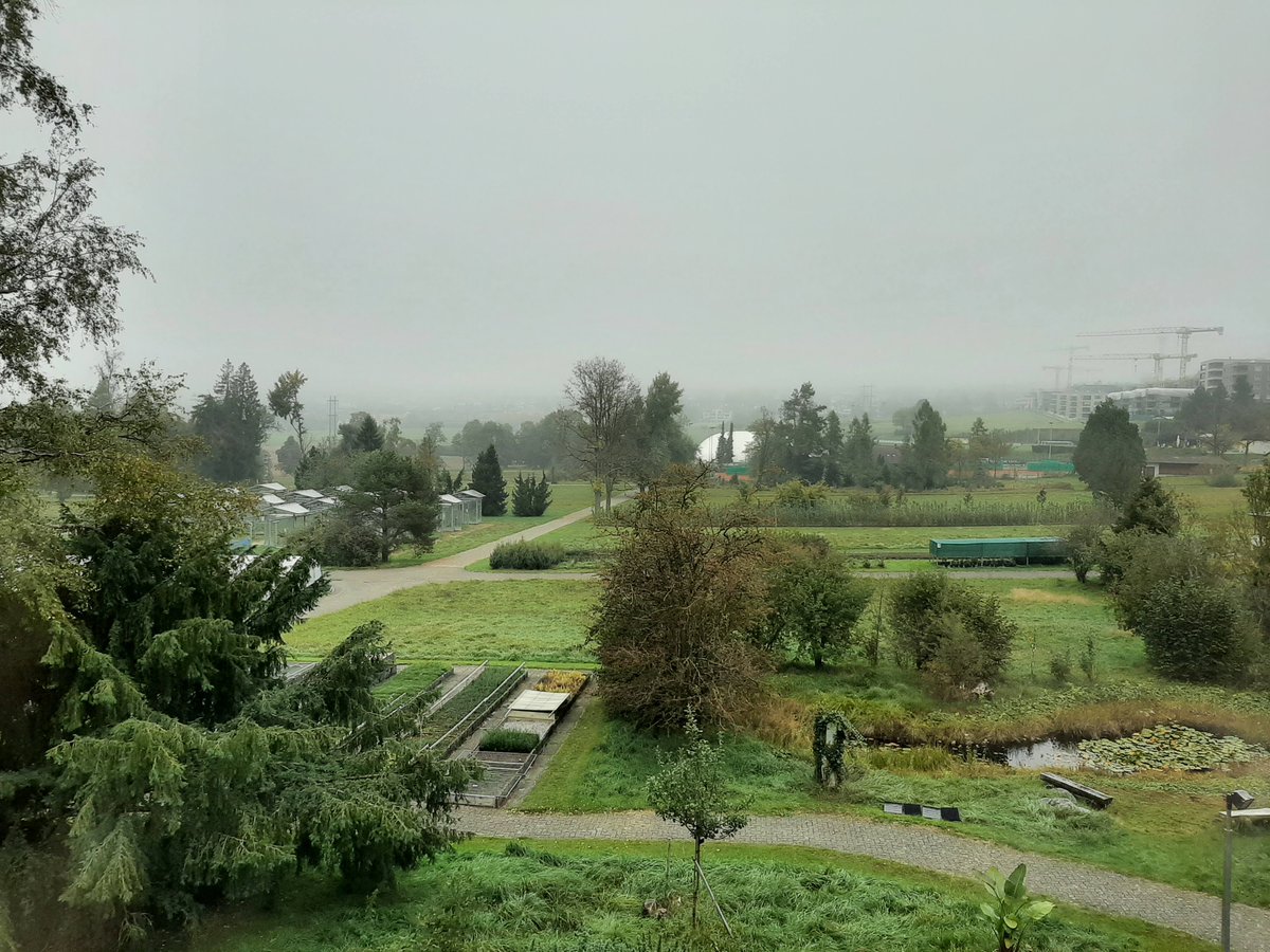 estheraceae's tweet photo. I started a new postdoc at @WSL_research this week, with the Grasslands for Biodiversity #G4B @BiodiversaPlus project. I'll be looking at grassland plant diversity and the role of management practices in the Alps & Carpathians. Here's the view from my new office. https://t.co/R7nnDNhych