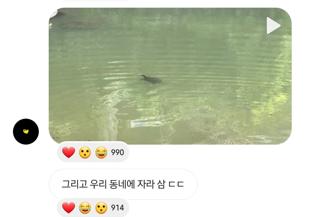 said_donmalik's tweet photo. 그리고 우리 동네에 자라 삼 ㄷㄷ

20230805 9시 13분 인스타그램 공지방 https://t.co/VfBh05RUij
