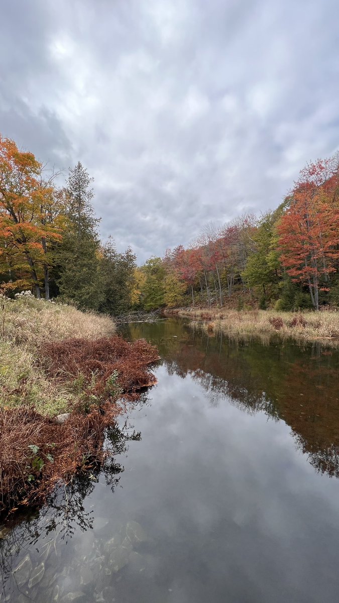 Fall in muskoka. ❤️ @MuskokaLakesCC @Muskoka_On @MuskokaTourism @Muskoka411