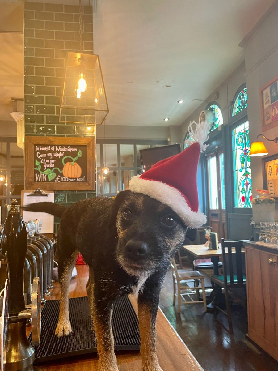 The Queens Primrose Hill tweet media