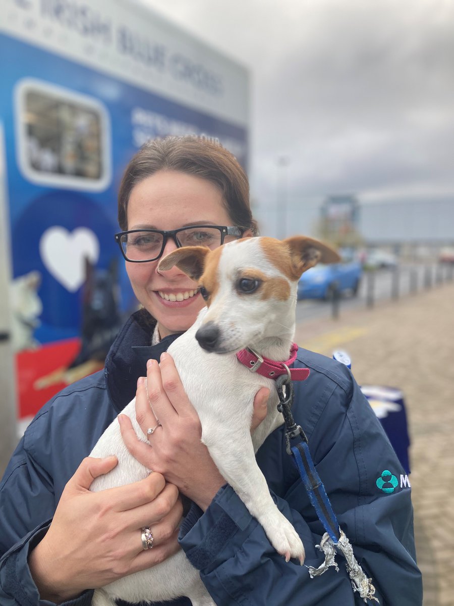 IrishBlueCross's tweet photo. So many clever &amp; gorgeous furry friends at our microchipping roadshow in  Liffey Valley😍 If you are in the area, why not pop by and say hello😉 #microchipyourpets #microchipyourdog🐕 #microchipyourcat🐈 #animalwelfare #dogs #cats https://t.co/CHvr8B8KRX
