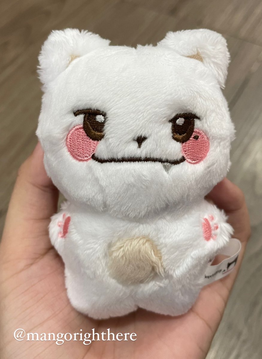 귀여워 🥹🤏🌷

#모구냥_도착했냥