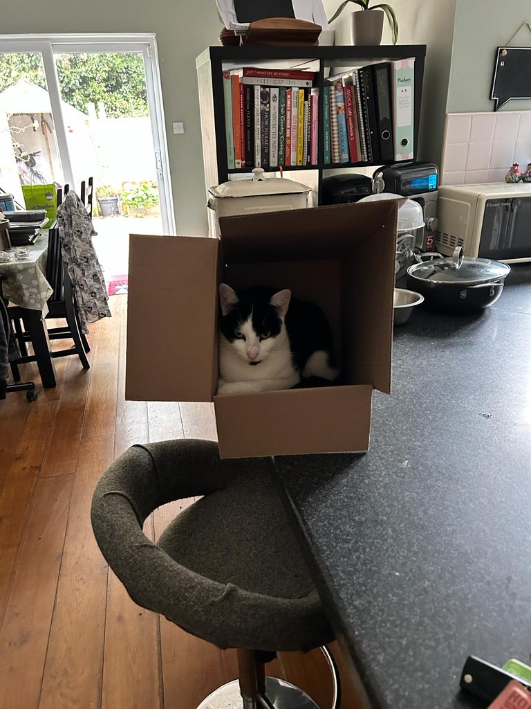 writer_s_downes's tweet photo. LOL I'm not sure how Longlegs has managed this, but somehow he has ... https://t.co/9PoNNCFUek