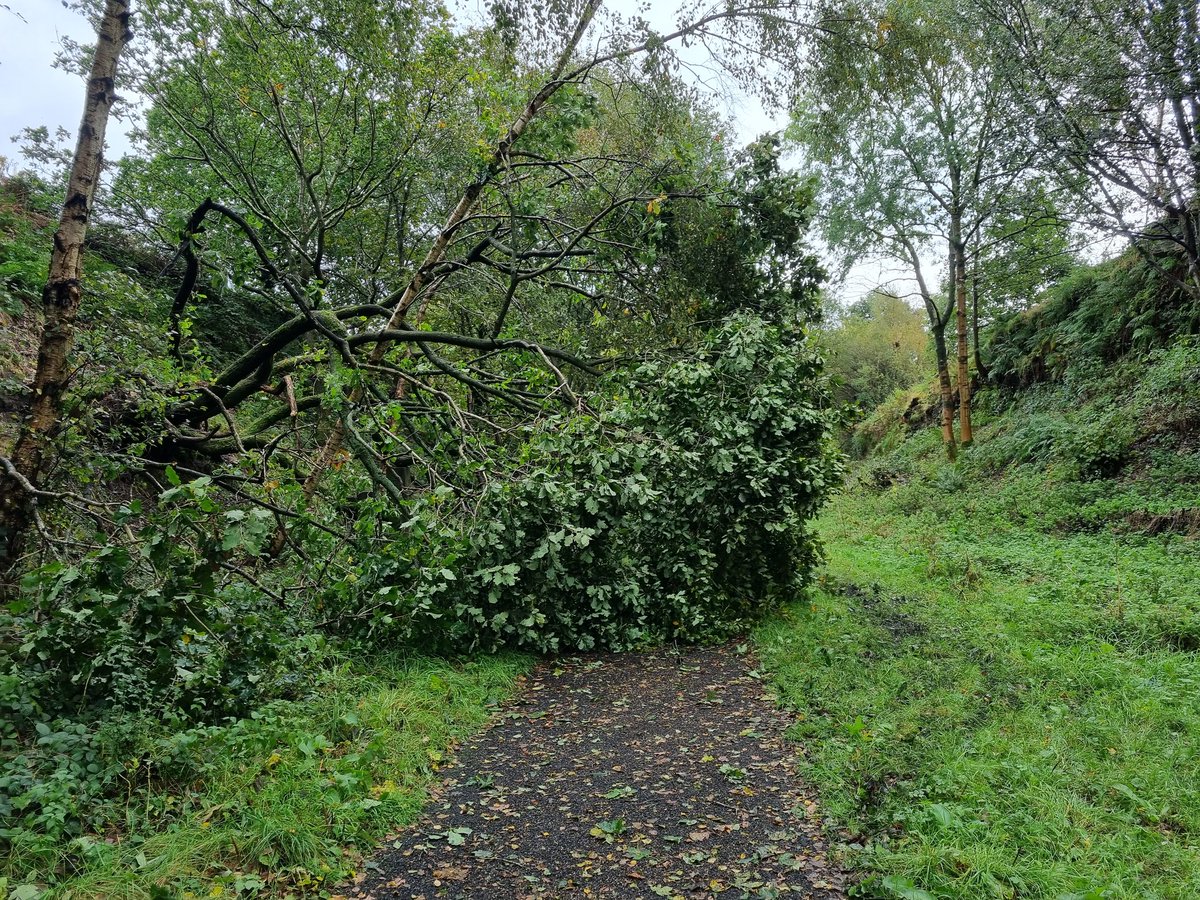 BevRandellEyre1's tweet photo. @TPT_National @Sustrans tree blocking path, near Bullhouse Bridge closure https://t.co/rTg1yA6wI8