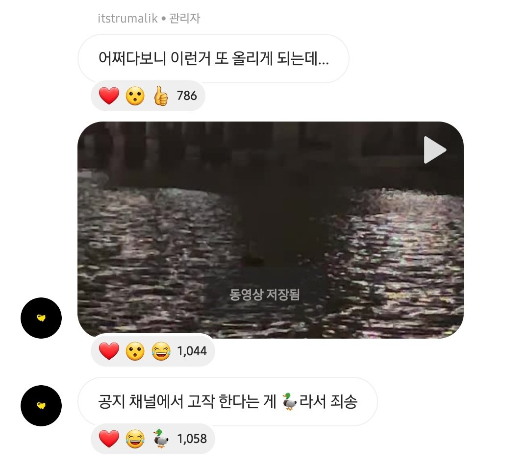 어쩌다보니 이런거 또 올리게 되는데...
공지 채널에서 고작 한다는 게 🦆라서 죄송

20230808 1시 45분 인스타그램 공지방