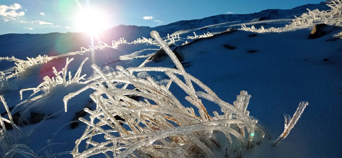 websierranevada's tweet photo. #FelizFinde #SierraNevada 😍 https://t.co/6blKTIdb8X