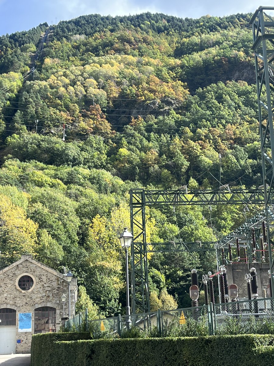 Ha arribat la tardor i els arbres estan 😍😍😍