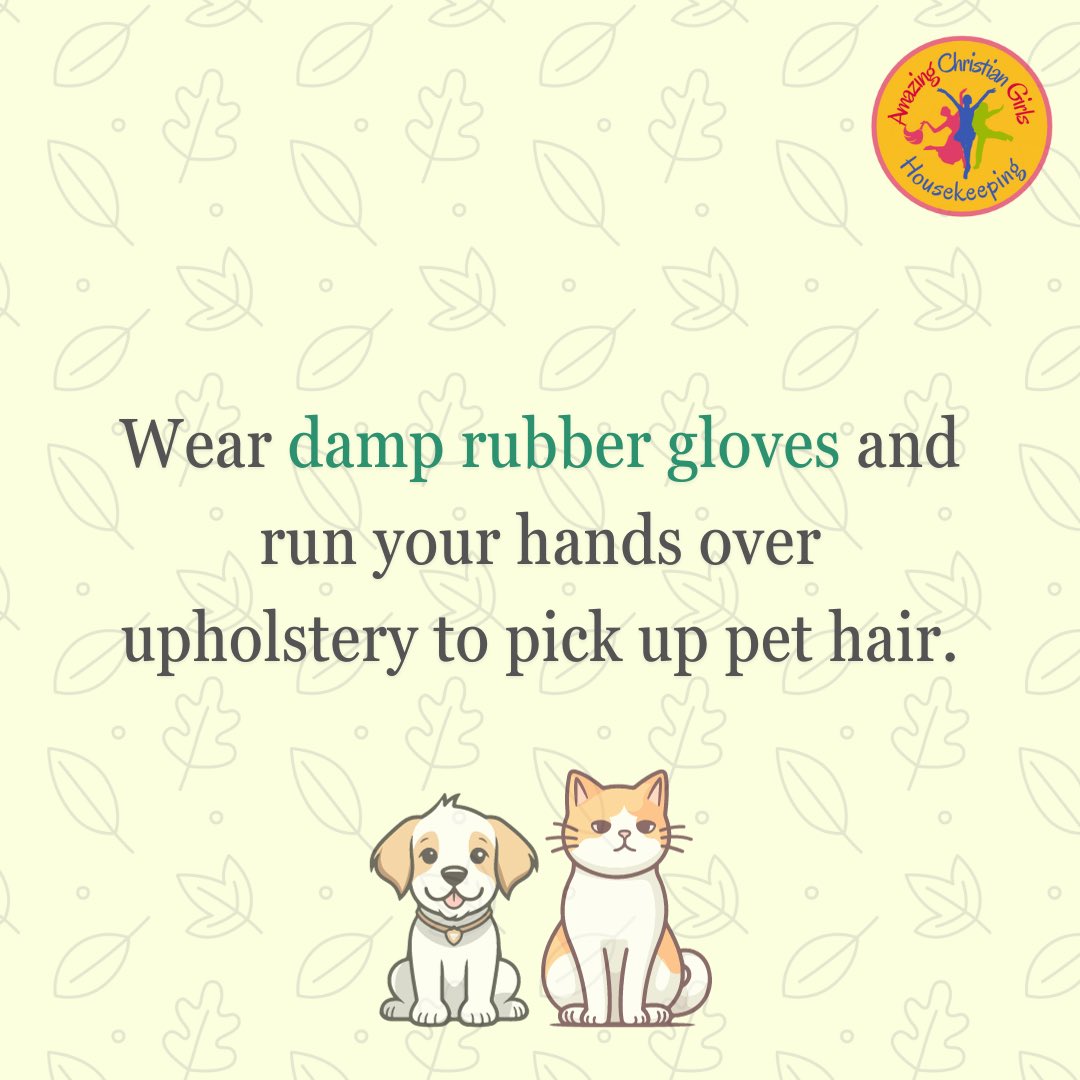 AmazingCGirls's tweet photo. Pet lovers! Today's cleaning tip is just for you!
Follow us for more cleaning tips!
For booking and more info, call us on 0809 977 7570.
π Visit our office at no. 8 Ibiam Street, Uyo.
#AmazingChristianGirls #cleaningtips #cleanoclock #petlovers #petcleaningtips #CleaningHack https://t.co/baxfOAAxs3