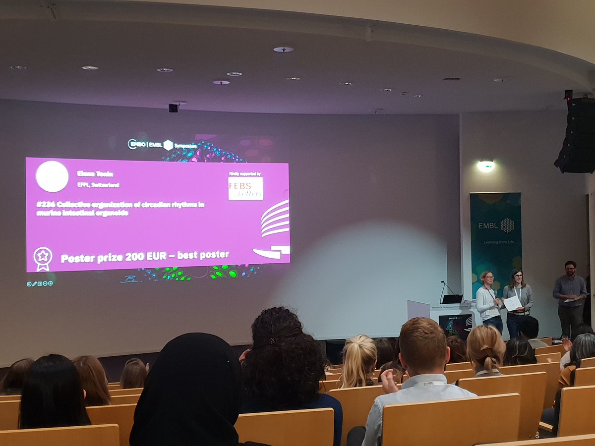 FEBS Letters tweet media